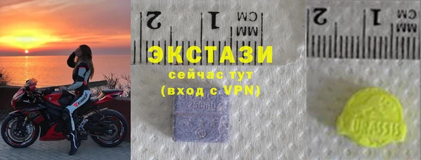 ECSTASY Инсар