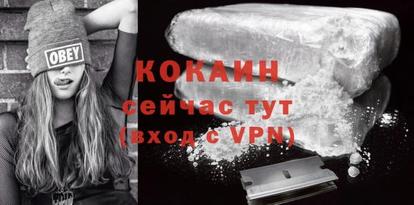 ECSTASY Инсар