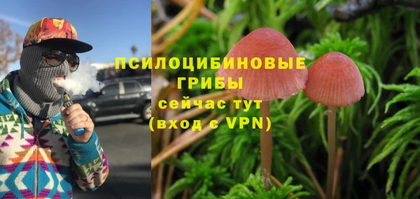 ECSTASY Инсар