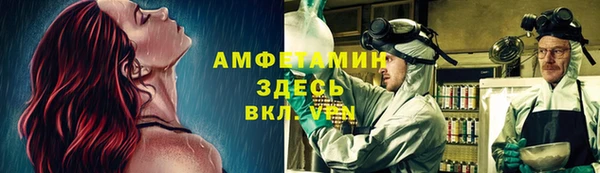 ECSTASY Инсар